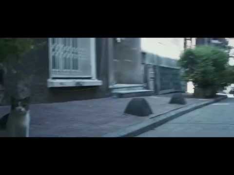 Deniz Gürzümar - Bugüne Kadar