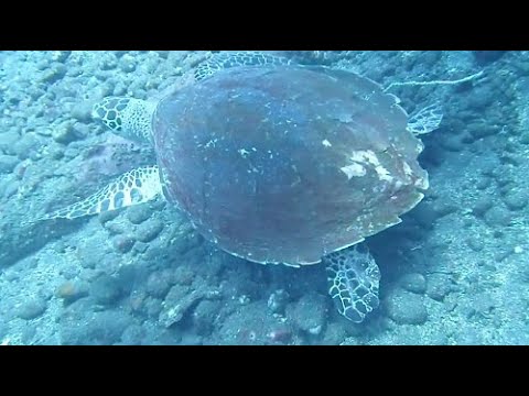 Building castles in the sea