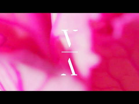 Helsloot & Mees Salomé - Solace [Extended Mix]