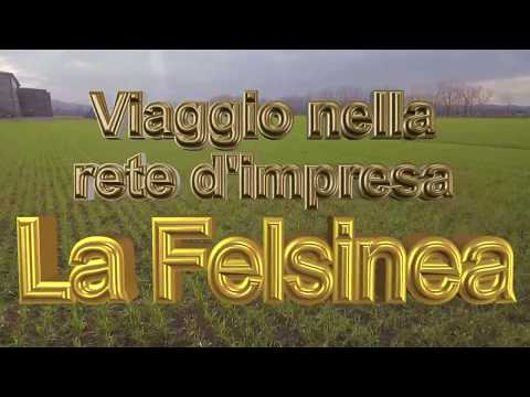 "La Felsinea" Rete d'Impresa: radici bolognesi, rami europei