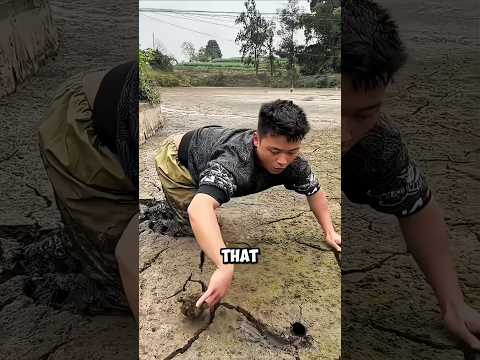 Catching a poisonous snake went so wrong 😱🐍