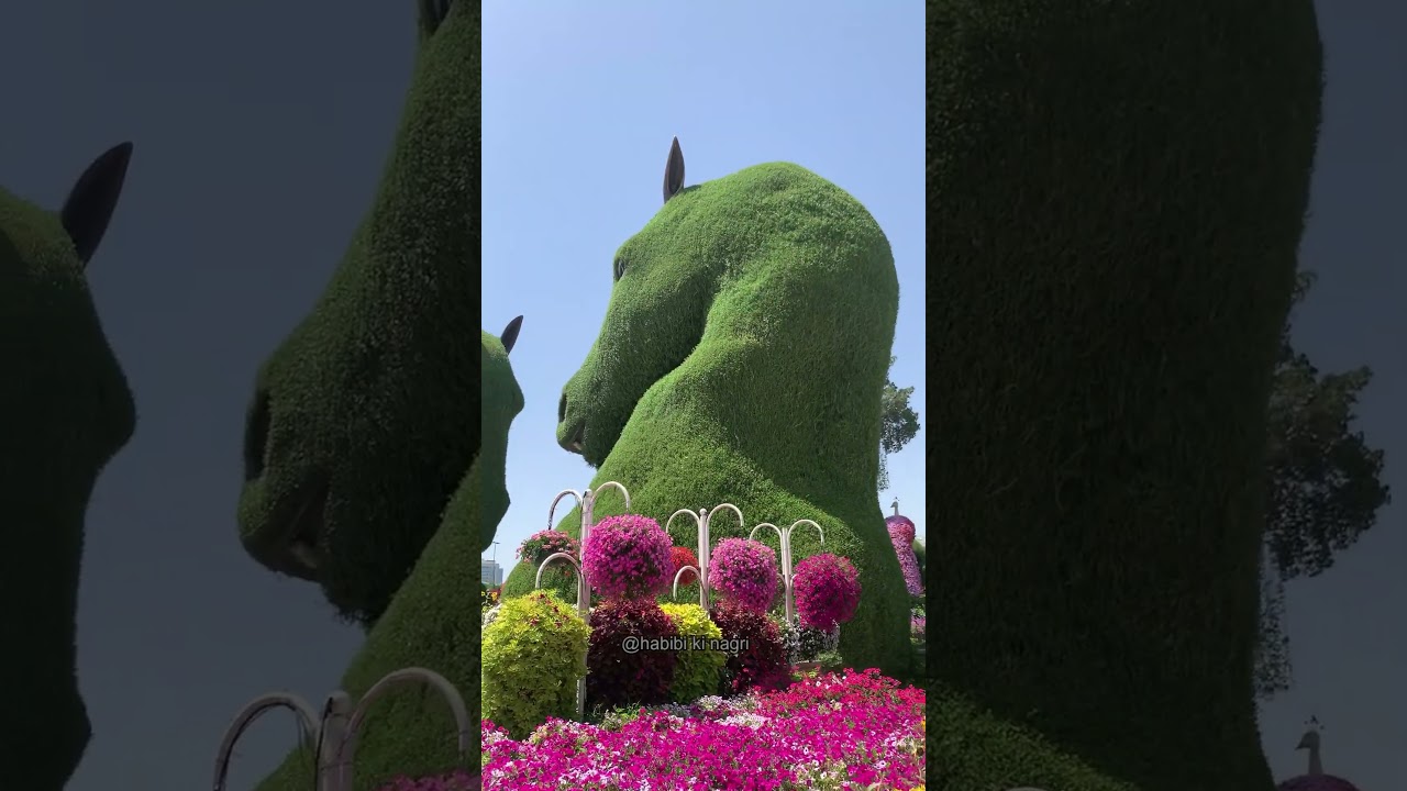 YouTube Short thumbnail