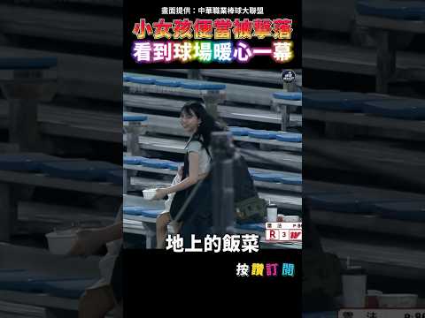 小女孩便當被界外球擊落 看見棒球場上暖心一幕