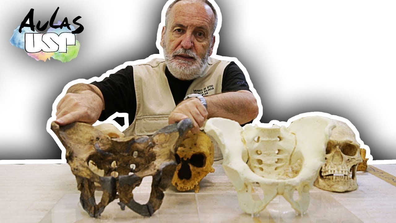 A Saga da Humanidade -- Aula 10 (Homo neanderthalensis)