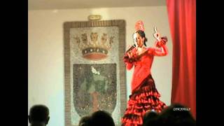 Anabel Seoane - Va Por Usted.avi