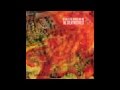 Fossil Genera - A Feed from Cloud Mountain by Between the Buried and Me
