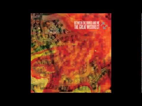 Fossil Genera - A Feed from Cloud Mountain