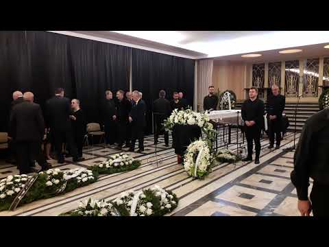 In Memoriam Academician Cornel Taranu