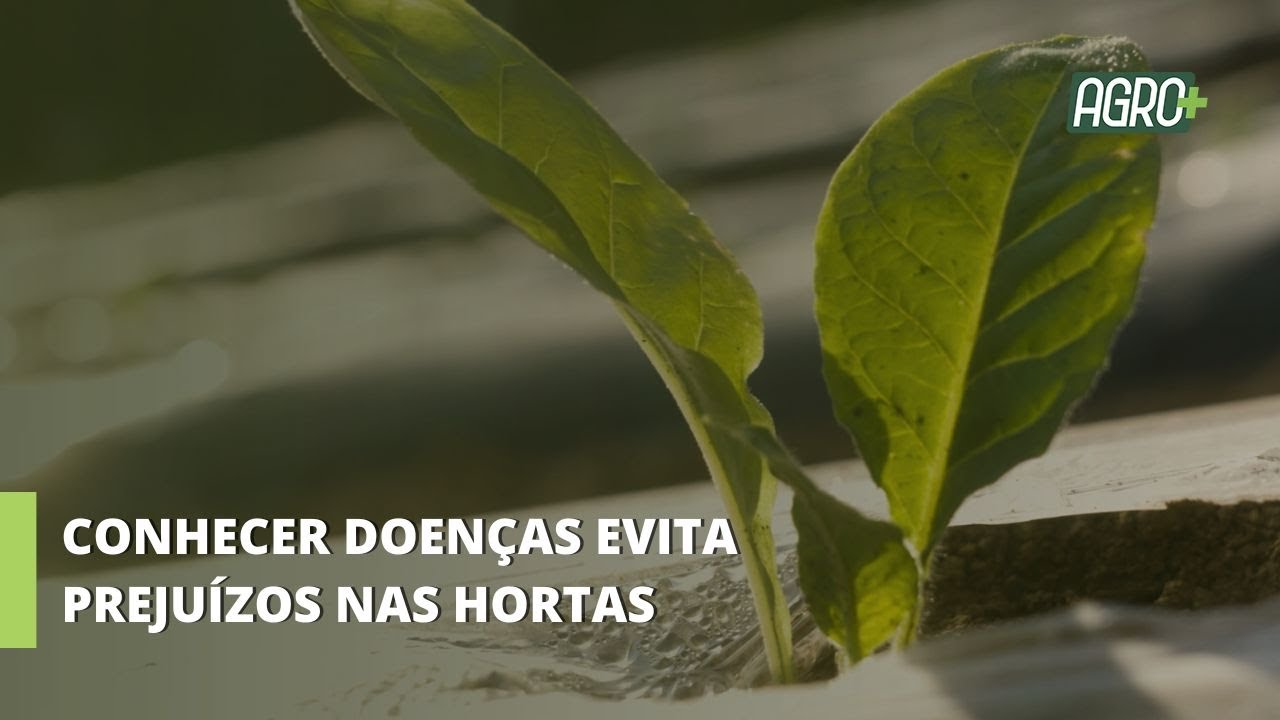 Fitopatologia: A Ciência Aliada do Horticultor.