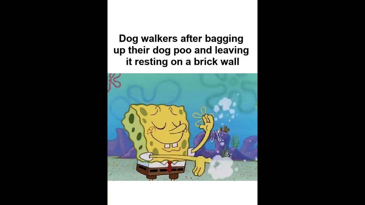 Funny RELATABLE Memes Compilation | MEMES #Shorts 158