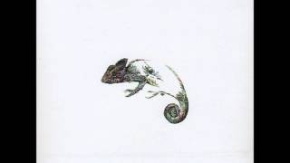 The Gramophone Allstars - Shoot Me With Your Smile