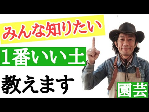 泥炭を含まないシャクナゲの土:自分で混ぜるだけ 植物