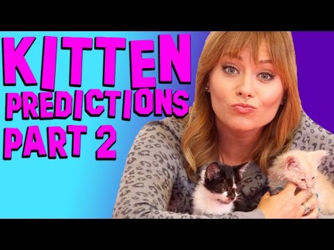 Becca and Cute Baby Kittens Predict The Future! | Part 2