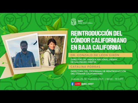 , title : 'Reintroducción del cóndor californiano en Baja California'