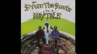 The Maytals   Your troubles are over