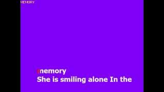 Karaoke Barry Manilow - Memory