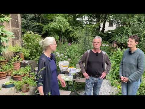 Live von Pias Bienenstand - 16.07.2023 - Otto Boecking kommt vorbei!