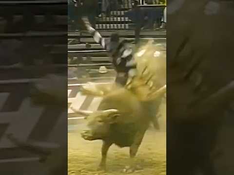 🇺🇲 Aaron Semas 🆚 Yellow Jacket - 97 PBR Finals (92.5 pts) #shorts #rodeo #agro #sports