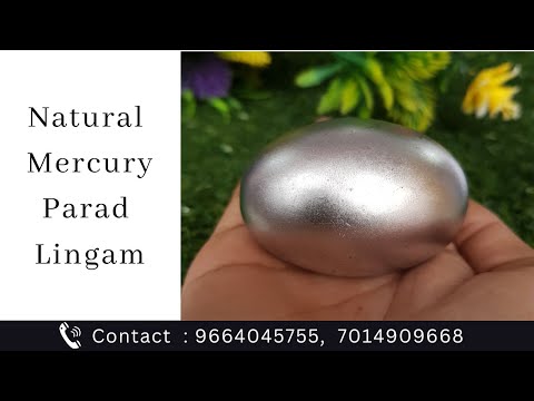 Natural Mercury (Parad) Lingam/Purified Mercury Lingam For Worship and Gifts