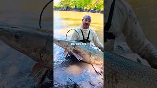 The Fish Of A Lifetime! (MASSIVE)