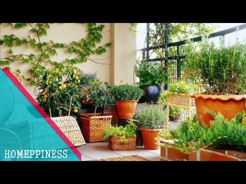 download lagu mp3 mp4 Simple Terrace Garden Ideas, download lagu Simple Terrace Garden Ideas gratis, unduh video klip Simple Terrace Garden Ideas