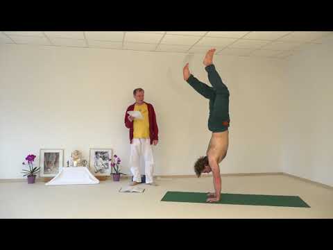 1514 Upavishta Konasana in Adho Mukha Vrikshasana