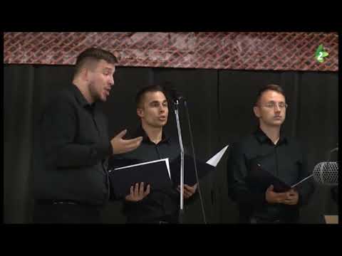 ŽELJENJEJE  ŽITO - Hlopska špivacka grupa Doma kulturi z Ruskoho Kerestura