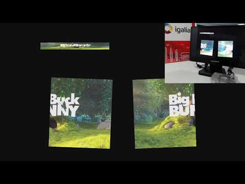 Video: WPE 2d canvas and video performance on low end-hardware
