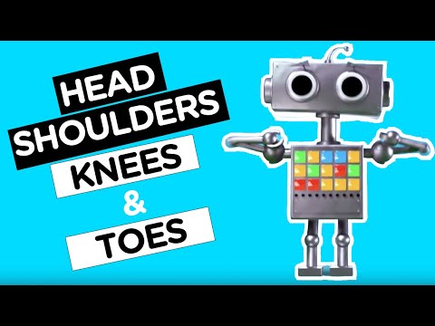 Head Shoulders Knees and Toes | Kids music with motions