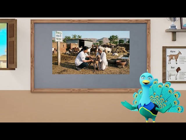 thumbnail of the course