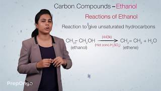 Carbon and its Compounds 14 | Important Carbon Compound - Ethanol | CBSE Class 10