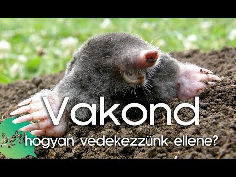 Tabletták minden típusú férgek vélemények