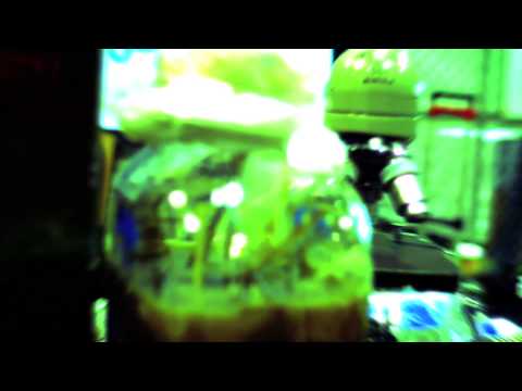 Hacking Group Biocurious Innovates in DIY Biology