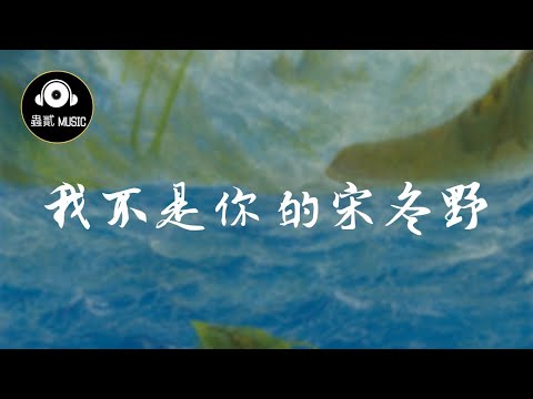 劉大壯 《我不是你的宋冬野》『親愛的董小姐』 動態歌詞