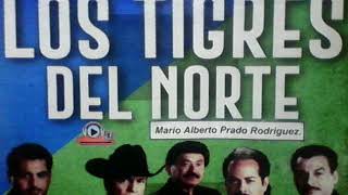 Palabras de mi madre. Los tigres del norte. (audio)