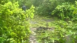 preview picture of video 'Jungle Behind Khedeker Industries ( Priol, Ponda, Goa).mp4'