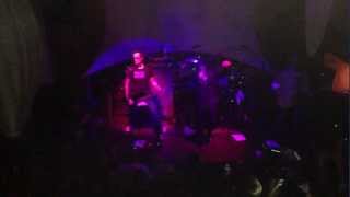 Saigon Kick - Peppermint Tribe