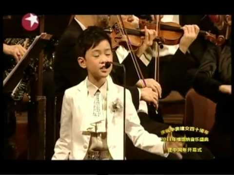 Zhong Chenle performed 'Memory' in Vienna New Year Concert 2011