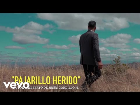 Marimba orquesta San Cristobal - PAJARILLO HERIDO