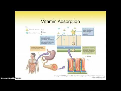 vitamins part 1