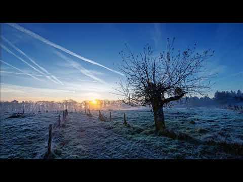 DNS Project feat Johanna - Timestep (Andy Blueman Vocal Mix)