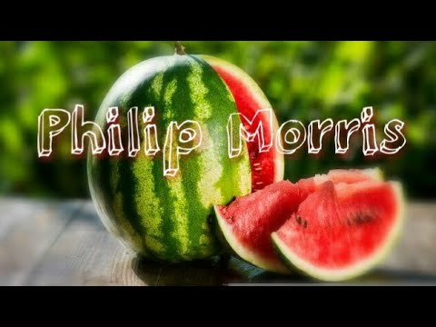 Обзор Philip Morris с арбузной капсулой