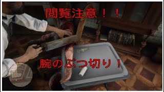 【閲覧注意】RDR2での手術に立ち会った。