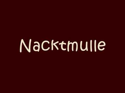 Best Nacktmull Song Ever