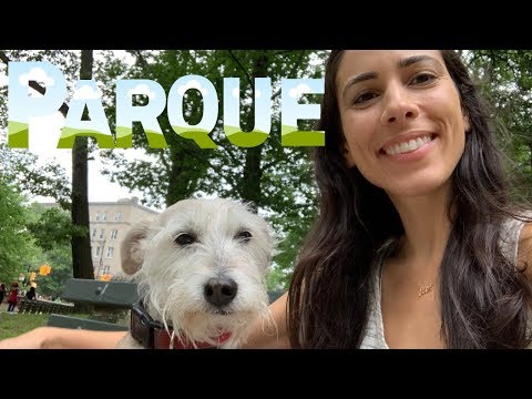 Brazilian Portuguese VOCABULARY | Um Passeio no Parque | Speaking Brazilian