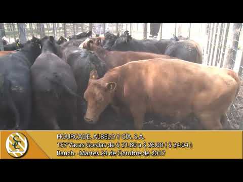24-10-17 Venta de Gordo - Hourcade, Albelo y Cía. S.A. - Rauch