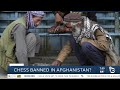 Did The Taliban Ban Chess In Afghanistan