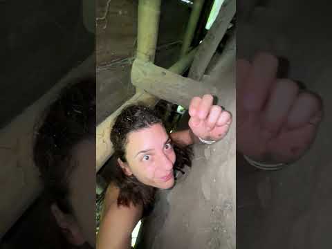 Χάσαμε τη Βέρα!💍