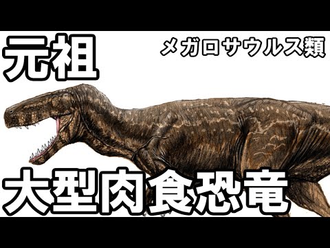メガロサウルス科 - 定義
