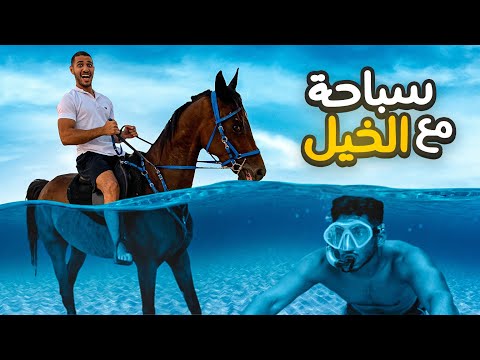 , title : 'تحدي السباحة مع أشرس خيل !! (كسر سيارتنا !! 🤯) | HORSE CHALLENGE'